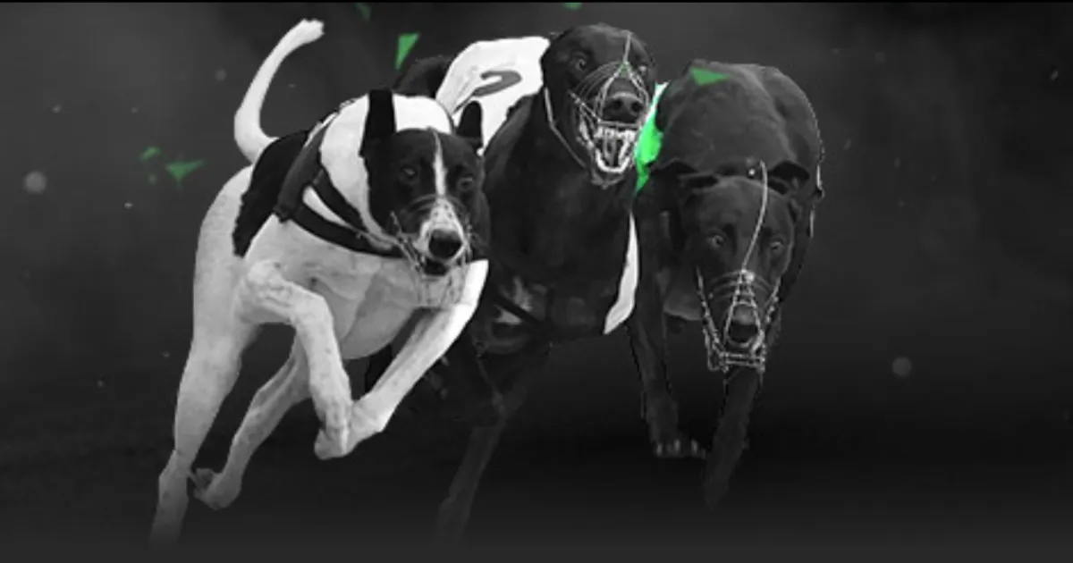 巴塞罗那两,次婉拒西甲,球队挖角,澳客,澳客网,okooo,okooo澳客网官网