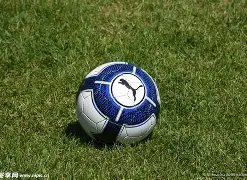 張琳芃回归,上海海港,回归家乡,澳客,澳客网,okooo,okooo澳客网官网