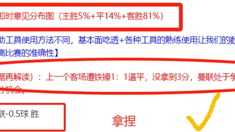 澳超赛事分析：比分胜负及专家内幕解读